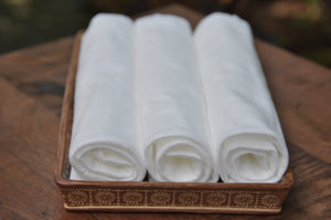 biodegradable towels